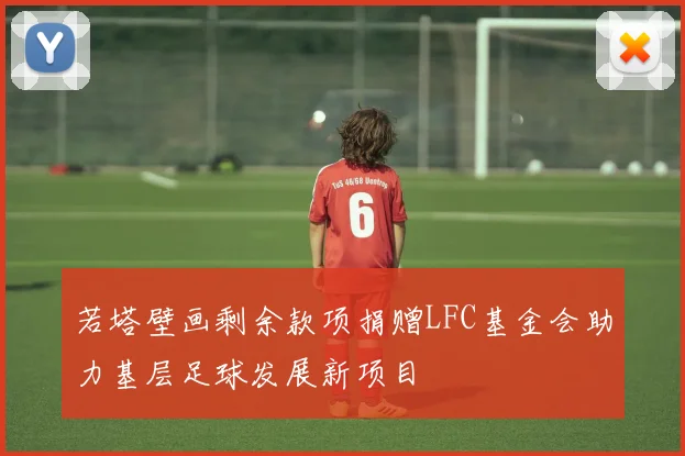 若塔壁画剩余款项捐赠LFC基金会助力基层足球发展新项目