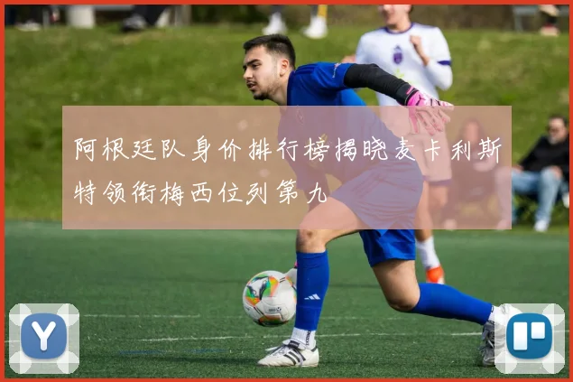 阿根廷队身价排行榜揭晓麦卡利斯特领衔梅西位列第九