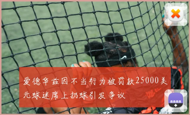 爱德华兹因不当行为被罚款25000美元球迷席上扔球引发争议