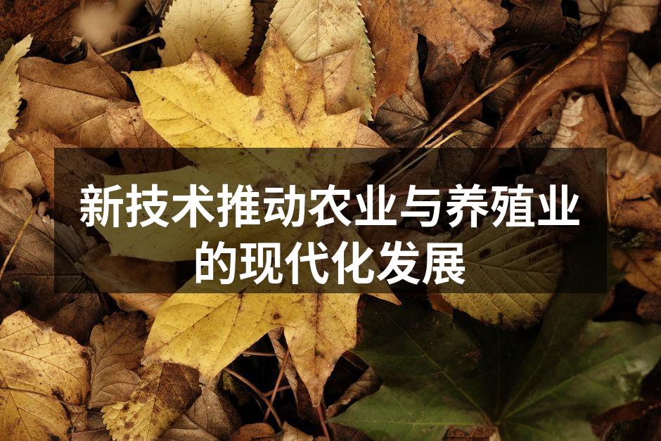 新技术推动农业与养殖业的现代化发展